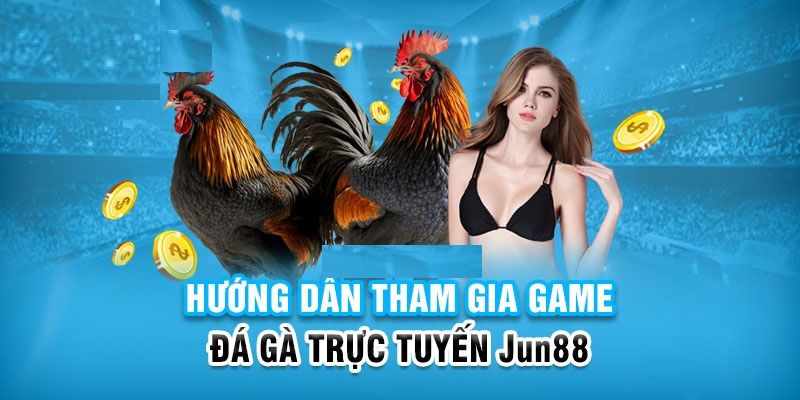 Những điểm mạnh khi đá gà Jun88